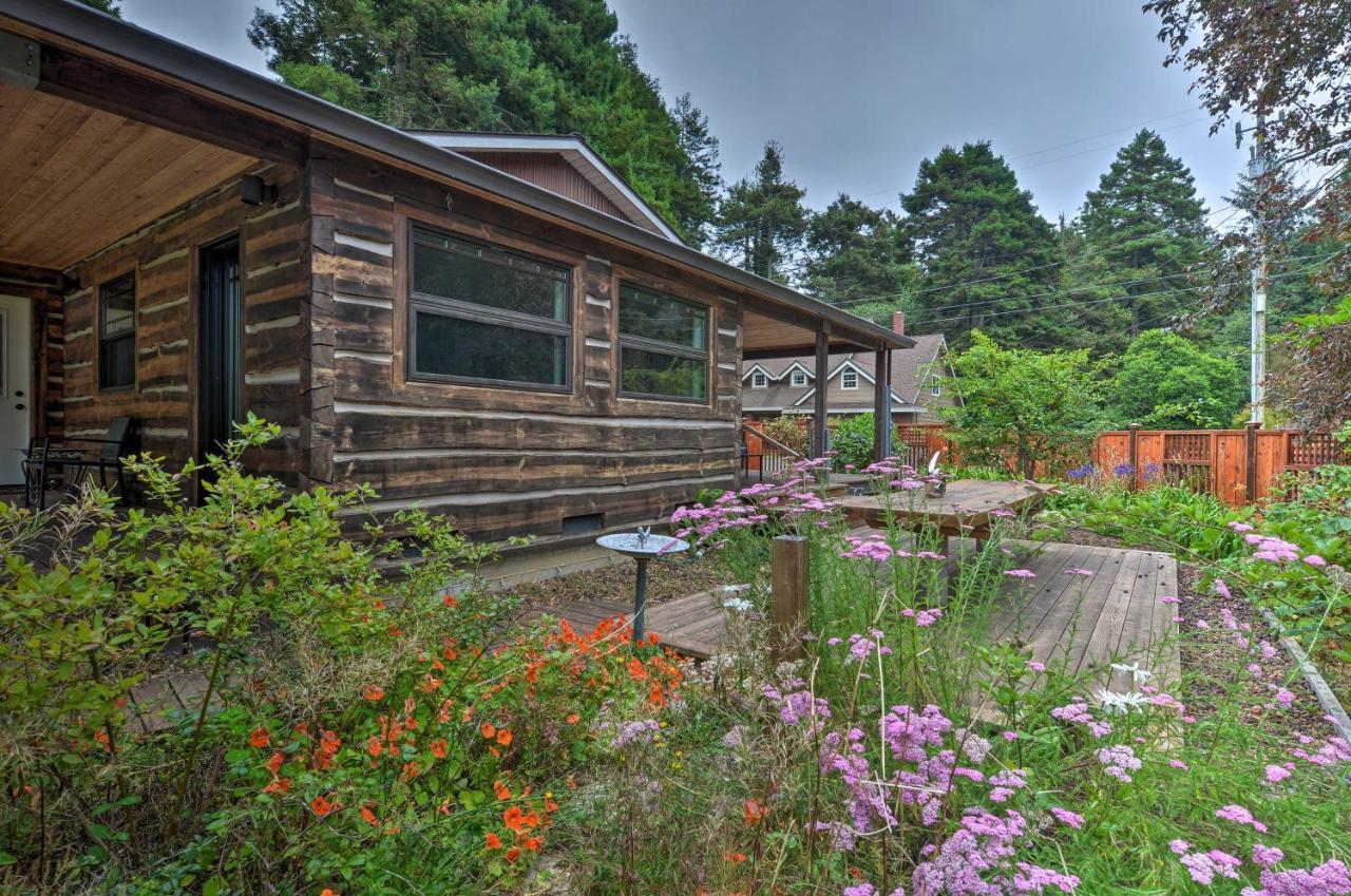 Quiet And Cozy Eureka Home Near Sequoia Park And Zoo! Extérieur photo